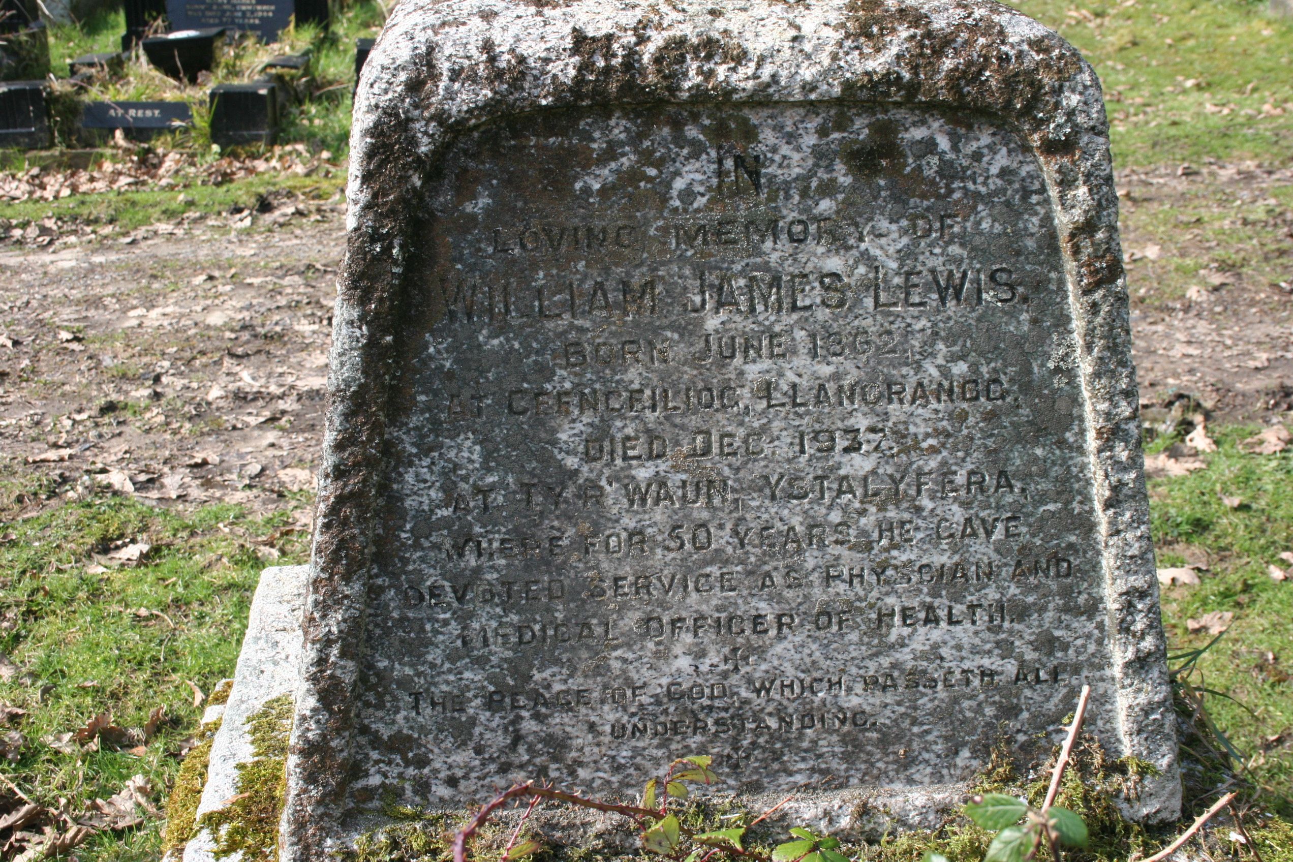 Alltygrug Cemetery Plot E 186 Dr W J Lewis
